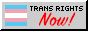 Button that reads 'Trans Rights NOW!'